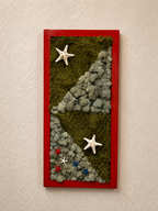 2 Variety Moss with 7 Stars