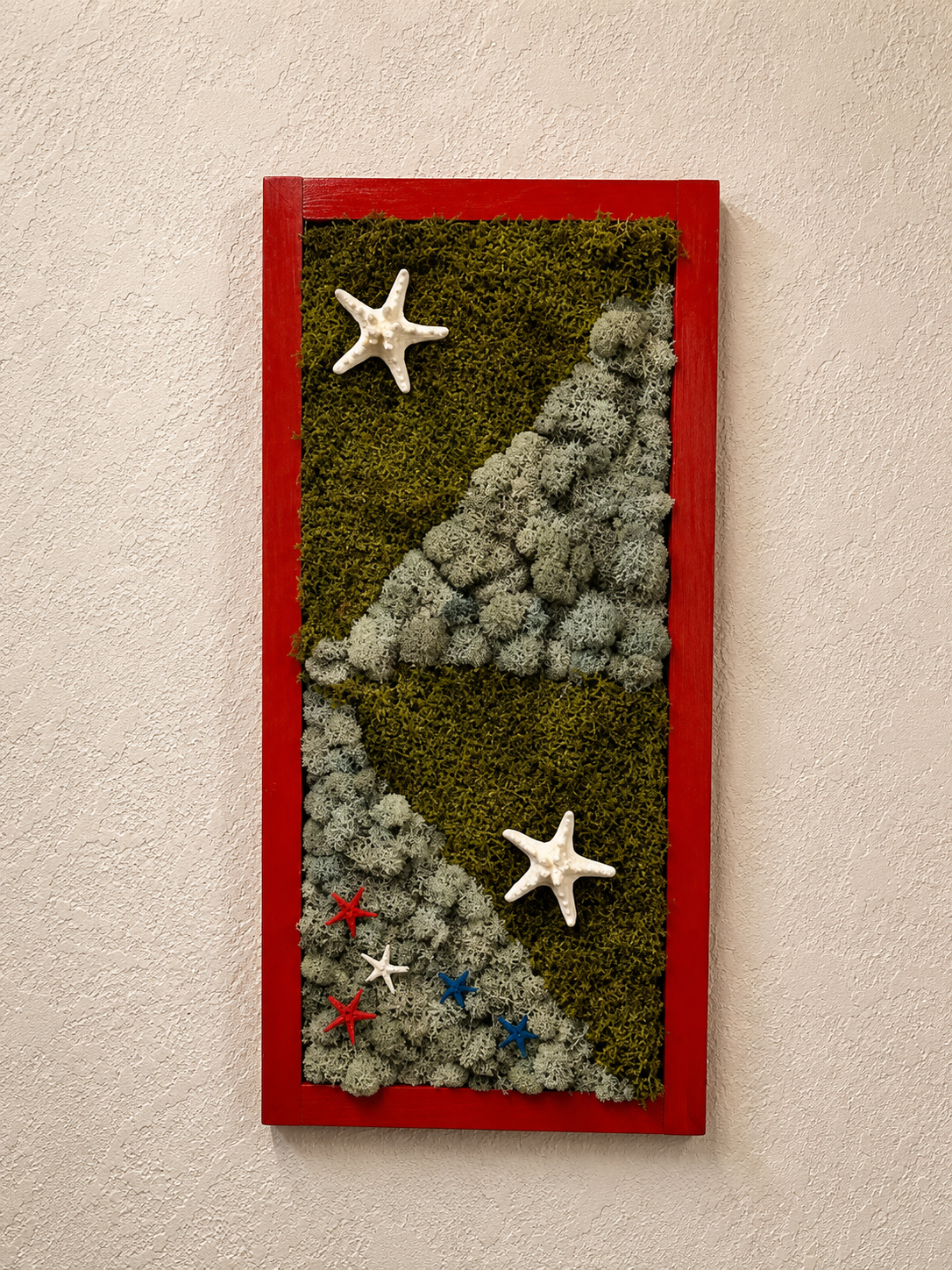 2 Variety Moss with 7 Stars