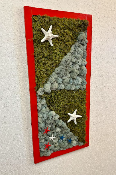 2 Variety Moss with 7 Stars
