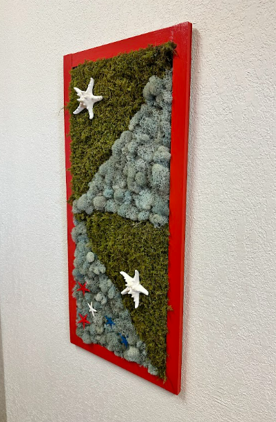 2 Variety Moss with 7 Stars