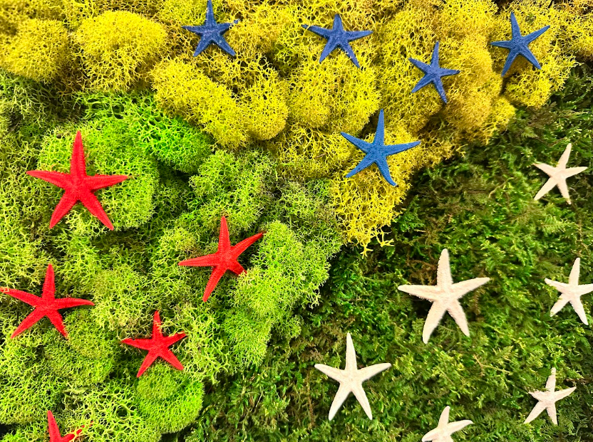 3 Type Moss w/ Star-Spangled