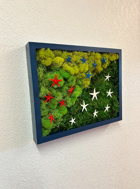 3 Type Moss w/ Star-Spangled
