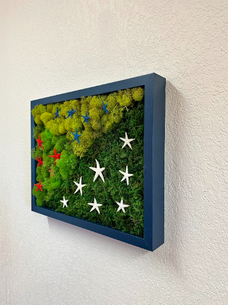 3 Type Moss w/ Star-Spangled