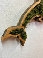 Dolphin w/ Moss