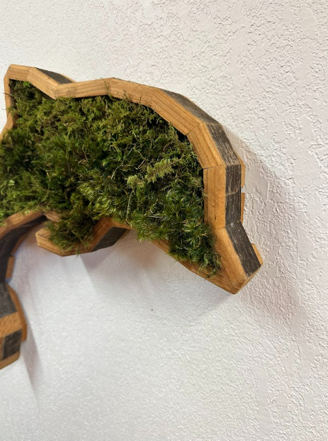 Dolphin w/ Moss
