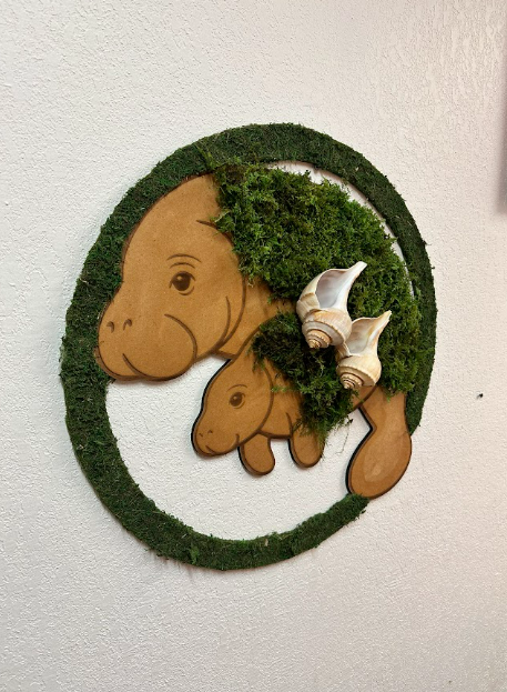 Fabulous FL. Collection Mauna Baby Manatee + 2 Shells