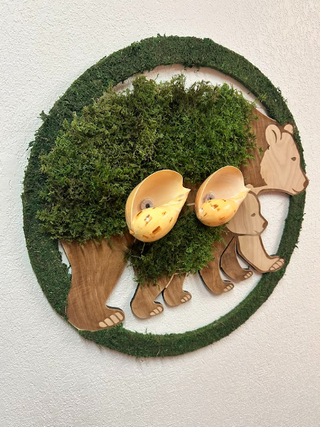 Fabulous FL. Collection Mauna/Baby Bear / Moss Shells