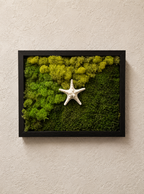 Lone Star