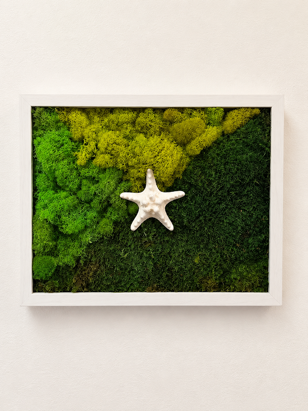 Lone Star Moss Deco