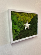 Lone Star Moss Deco