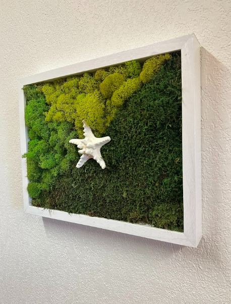 Lone Star Moss Deco