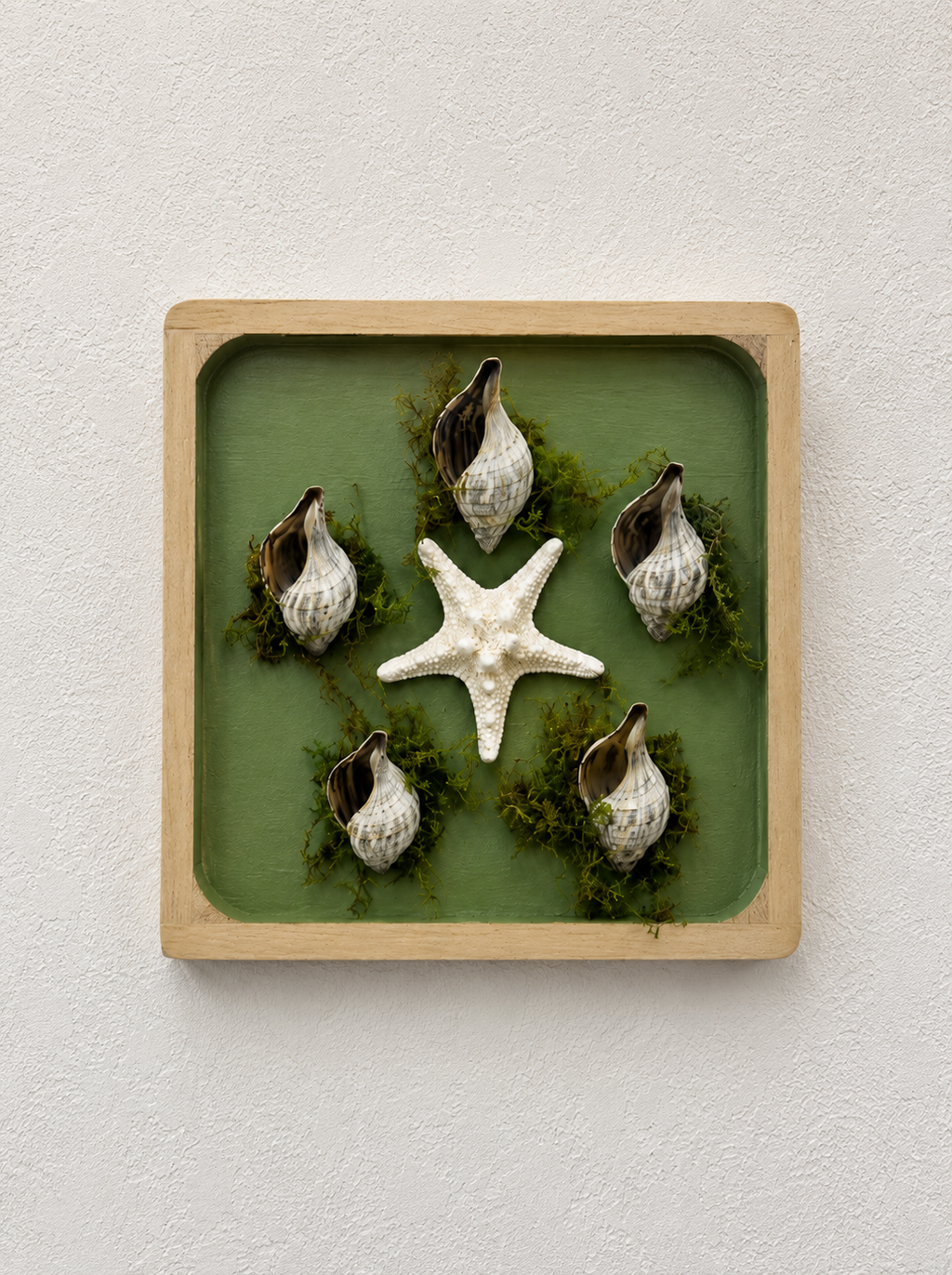 Lone Star w/ 5 Shells Moss Deco