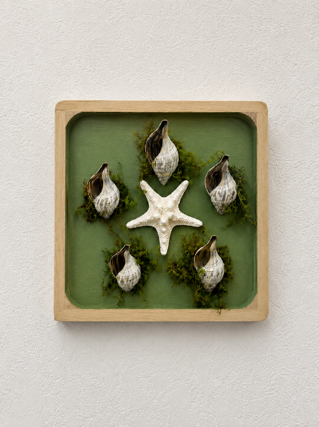 Lone Star w/ 5 Shells Moss Deco