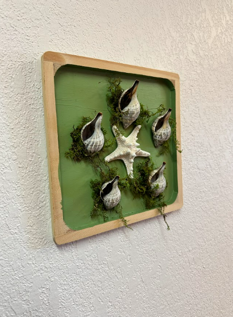 Lone Star w/ 5 Shells Moss Deco