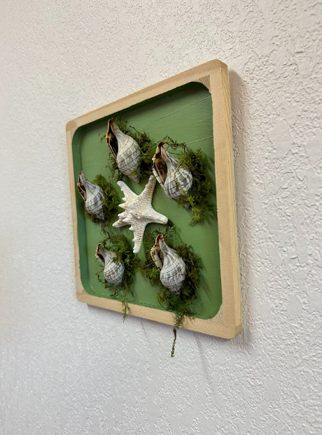 Lone Star w/ 5 Shells Moss Deco