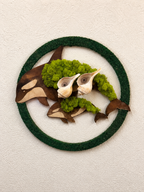 Mauna/Baby Collection — Orca’s Moss & 2 Shells