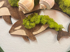 Mauna/Baby Collection — Orca’s Moss & 2 Shells