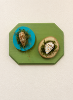 Mini Shell Art on 3 Wood Piece
