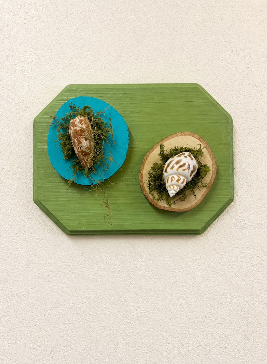 Mini Shell Art on 3 Wood Piece
