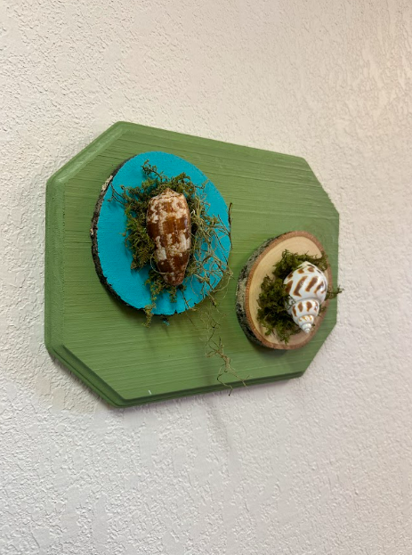 Mini Shell Art on 3 Wood Piece