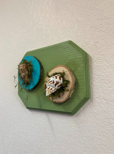 Mini Shell Art on 3 Wood Piece