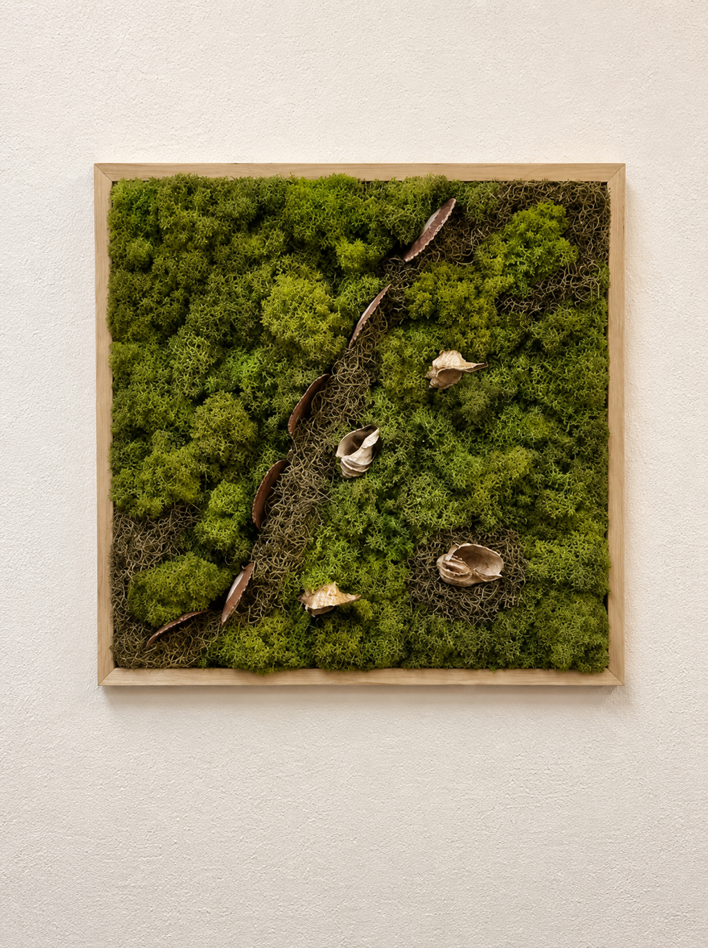 Moss & Shells
