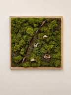 Moss & Shells