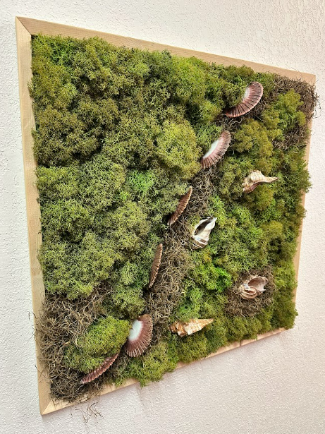 Moss & Shells