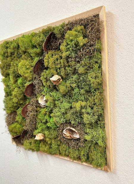 Moss & Shells