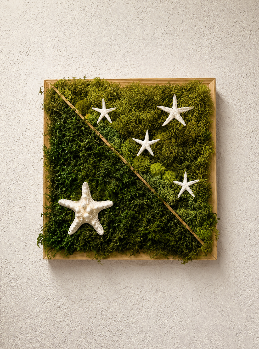 Moss with 5 Stars