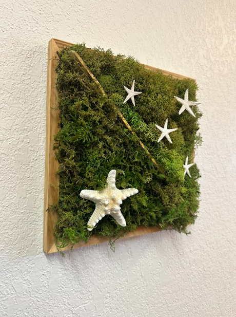 Moss with 5 Stars