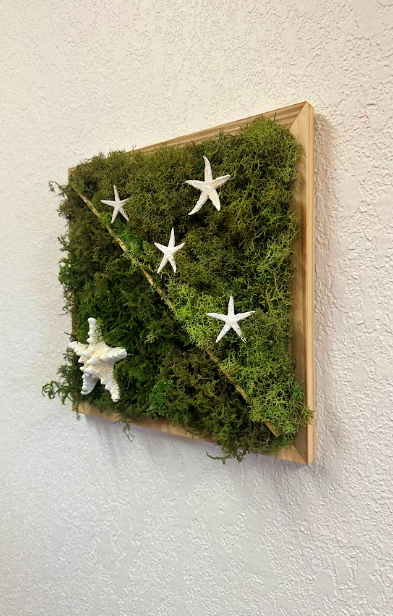Moss with 5 Stars