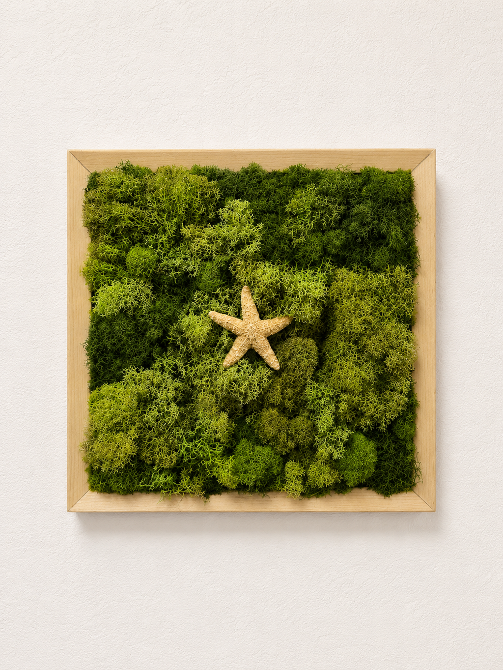 Sugar Lone Star Moss Deco