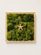 Sugar Lone Star Moss Deco