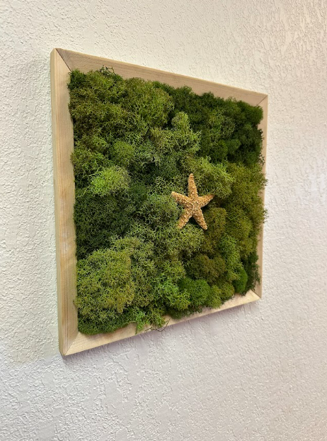 Sugar Lone Star Moss Deco