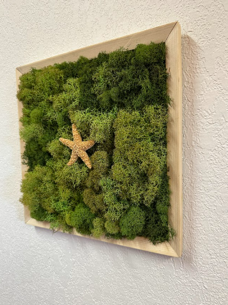 Sugar Lone Star Moss Deco