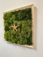 Sugar Lone Star Moss Deco