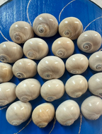 Whale’s Eyes 21