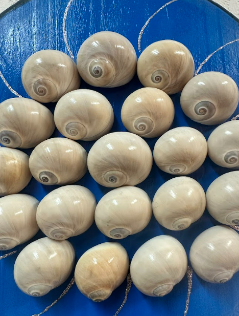 Whale’s Eyes 21